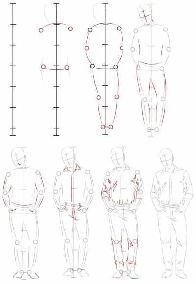 Туториалы по рисованию человека для начинающих. Анатомия