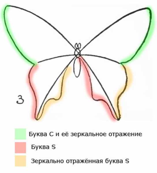 Бабочка рисунки для детей, контур, раскраски карандашом, красками, гуашью
