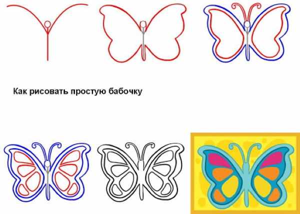 Бабочка рисунки для детей, контур, раскраски карандашом, красками, гуашью