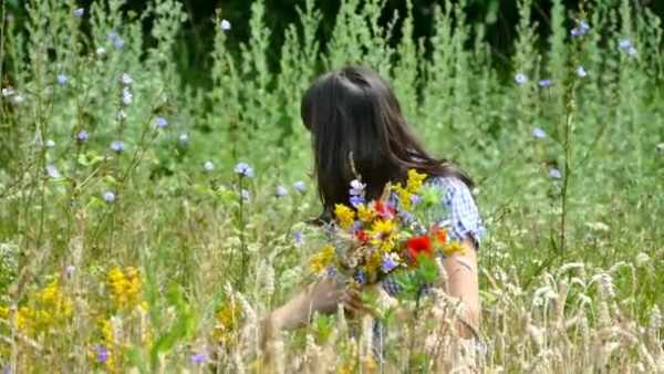 Красивые букеты полевых цветов своими руками. Фото