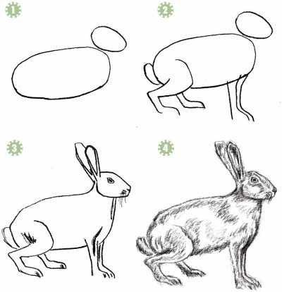 Графика: рисунки карандашом для начинающих поэтапно: пейзаж, животные, цветы, люди