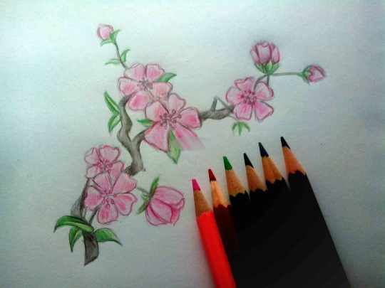 Идеи для ЛД рисунки для срисовки, легкие и красивые