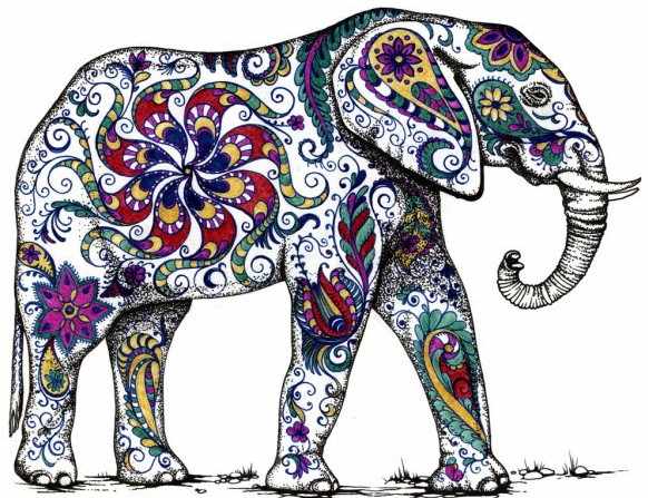 Индийский слон. Рисунок карандашом для детей по этапам с орнаментом