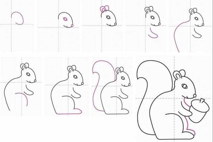 Как нарисовать белку поэтапно для детей: на дереве, с орехами, из Ледникового периода. Картинки и фото для начинающих