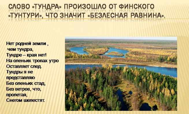 Как я представляю себе тундру. Рисунки, Окружающий мир