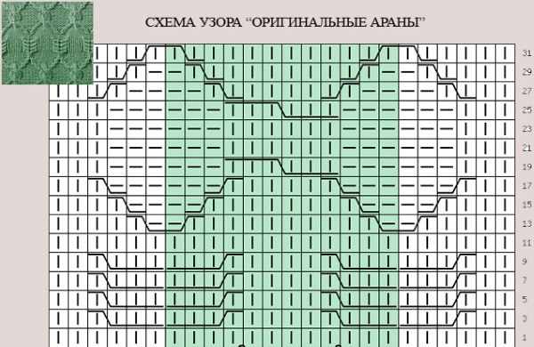 Кофты и регланы спицами для женщин. Мастер класс - схемы и описание вязания бесплатно