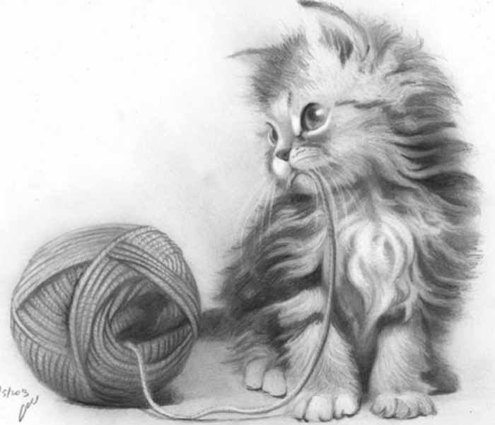 Котик рисунок для детей карандашом