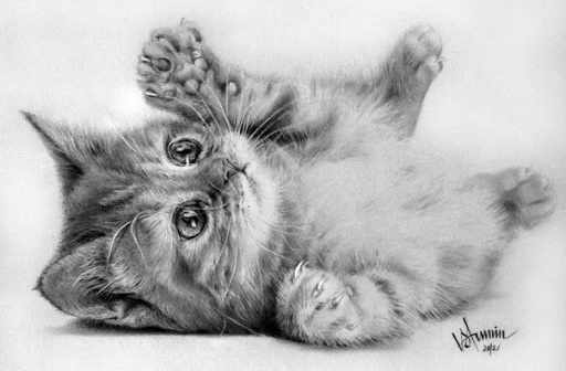 Котик рисунок для детей карандашом