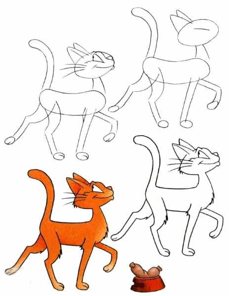 Котик рисунок для детей карандашом