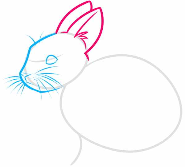 Кролик рисунок для детей карандашом