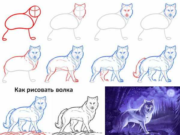 Легкие рисунки карандашом поэтапно для начинающих для срисовки, скетчбука