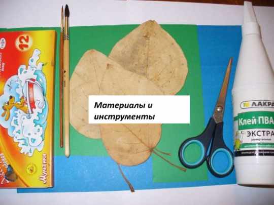 Листочки деревьев. Шаблоны для вырезания, аппликаций. Осенние поделки из бумаги, фетра
