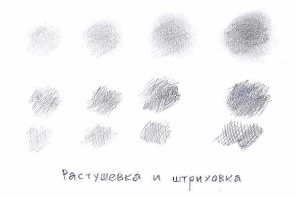 Лицо девушки рисунок карандашом. Как нарисовать поэтапно