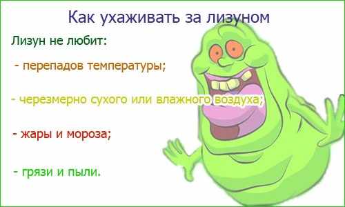 Как сделать лизуна своими руками в домашних условиях. Рецепт из шампуня, зубной пасты, соли, клея, пены для бритья