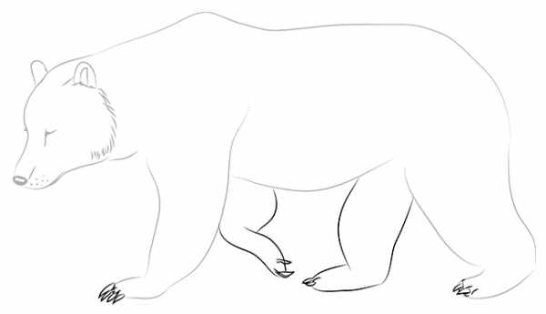 Медвежонок рисунок для детей карандашом поэтапно