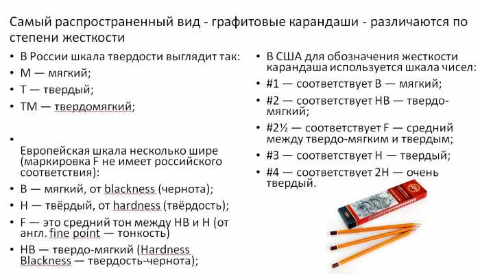 Наброски карандашом для начинающих: предметы, животные, люди, цветы. Как делать правильно