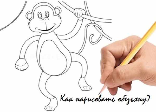 Обезьяна рисунок для детей карандашом простой, черно-белый, цветной, раскраска