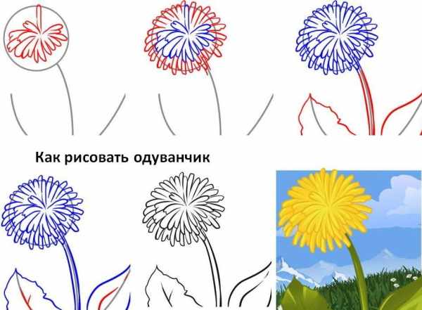 Одуванчик рисунок для детей карандашом, красками
