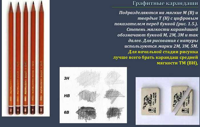 Рисунок оленя карандашом для детей: цветной, черно-белый: северный, новогодний, геометрический, лесной