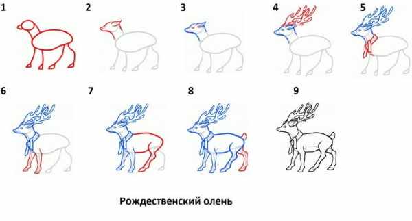 Олень рисунок для детей карандашом поэтапно