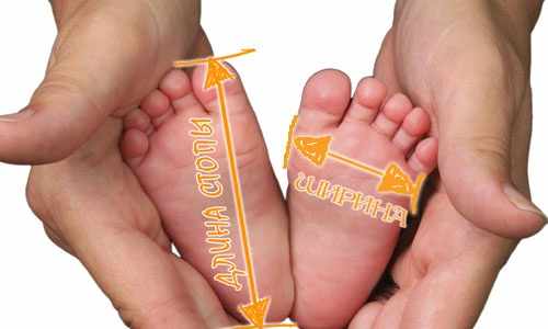 Пинетки спицами для новорожденных. Схемы и описание, размеры без швов, как связать носочки, кеды