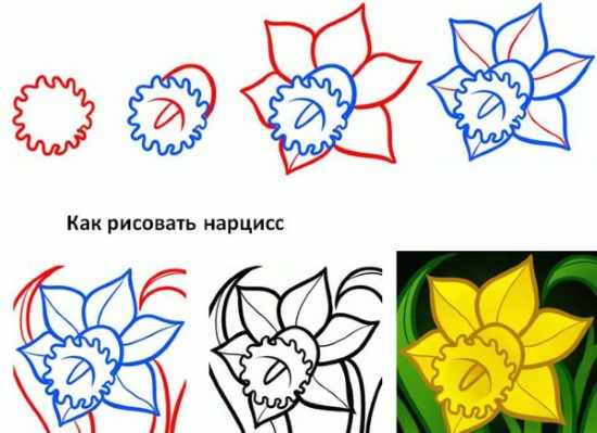 Рисуем поэтапно карандашом для начинающих. Цветы, портрет, лицо человека, глаза, 3д рисунки. Уроки пошагово