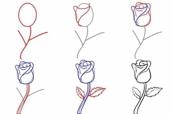 Рисуем поэтапно карандашом для начинающих. Цветы, портрет, лицо человека, глаза, 3д рисунки. Уроки пошагово
