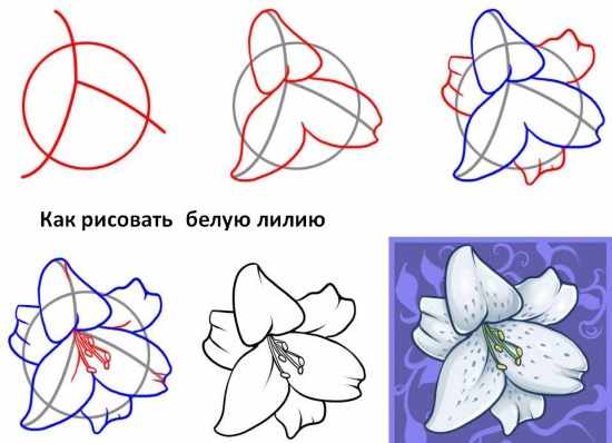 Рисуем поэтапно карандашом для начинающих. Цветы, портрет, лицо человека, глаза, 3д рисунки. Уроки пошагово