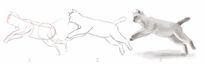 Рисуем поэтапно карандашом для начинающих. Цветы, портрет, лицо человека, глаза, 3д рисунки. Уроки пошагово