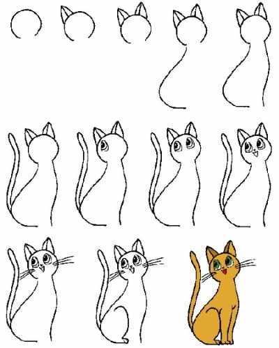 Рисунки котиков карандашом для срисовки легкие, милые, красивые поэтапно в скетчбук, ЛД