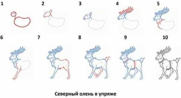 Рисунки мальчикам для срисовки карандашом. Крутые, легкие, прикольные