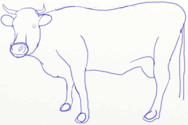 Рисунок коровы для детей карандашом, красками для раскрашивания, срисовки, смешной