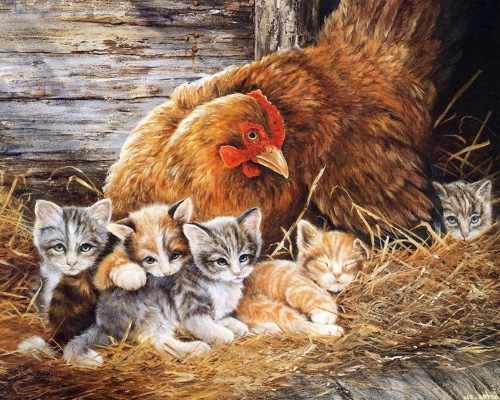 Рисунок курицы для детей карандашом для раскрашивания для детей с цыплятами, котятами из сказки/
