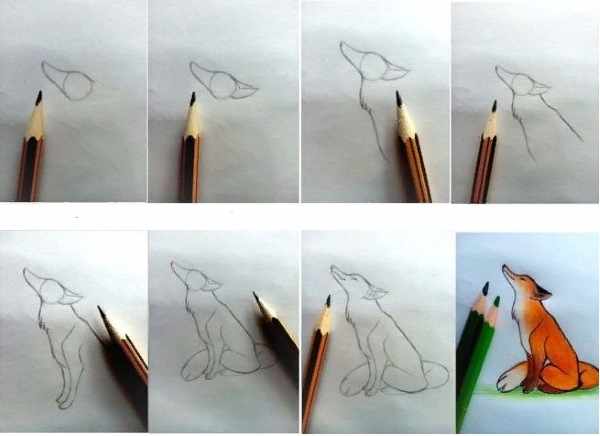 Рисунок лисы карандашом для детей для срисовки поэтапно из сказки, басни, геометрических фигур, символов