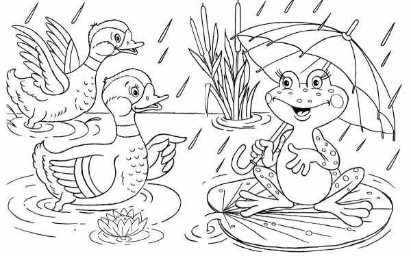Рисунок лягушки для детей карандашом из сказки, на камне, кувшинке со стрелой, короной