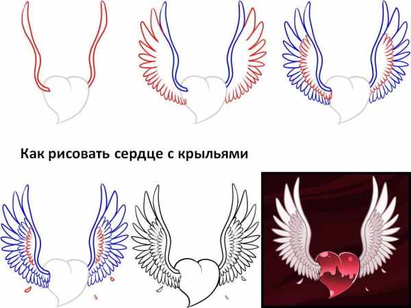 Рисунок Сердце с крыльями карандашом по клеточкам поэтапно