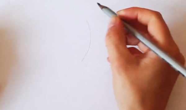 Ромашка рисунок для детей карандашом поэтапно