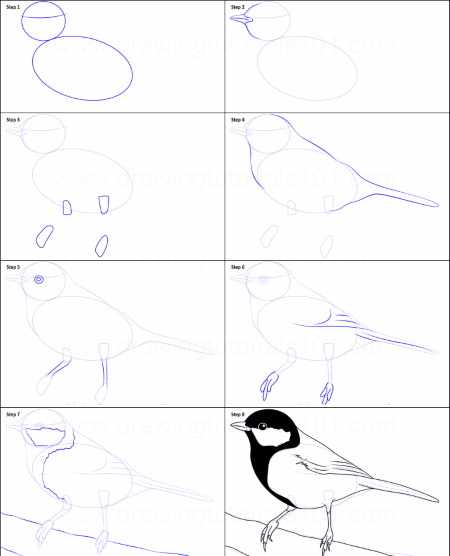 Синичка рисунок для детей карандашом, красками поэтапно