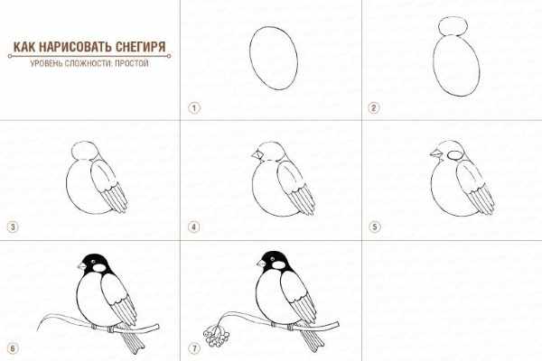 Снегирь на ветке рисунок для детей красками, карандашом