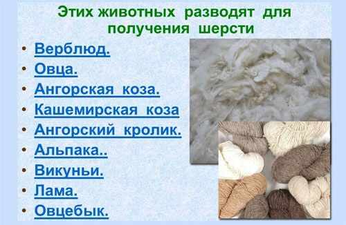 Вязание спицами женского свитера. Модные модели 2021 года, фото со схемами и описанием для начинающих
