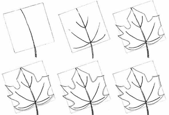 Шаблоны цветов для вырезания из бумаги: ромашка, яблони, сакуры, 5-6 листков, объемный
