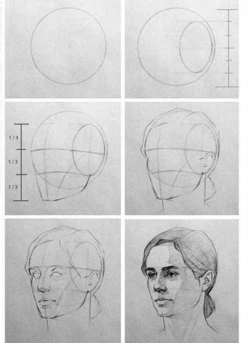 Туториалы по рисованию человека для начинающих. Анатомия