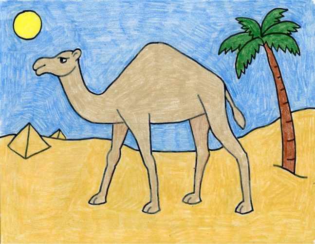 Верблюд рисунок для детей карандашом поэтапно