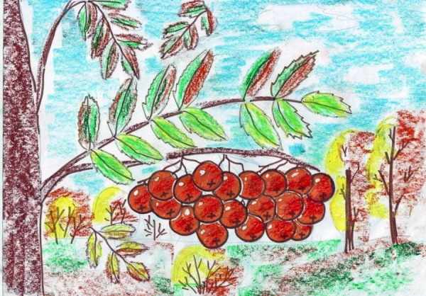 Ветка рябины рисунок для детей поэтапно