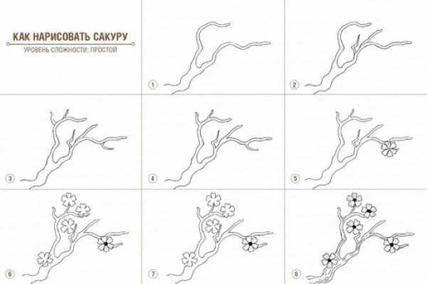 Рисунок веточка сакуры карандашом, красками, гуашью, акварелью для детей