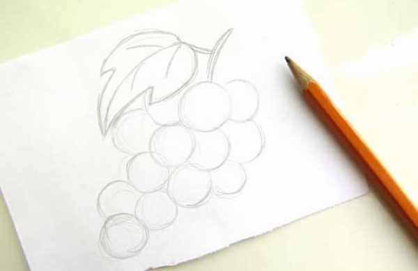 Виноград рисунок для детей карандашом поэтапно