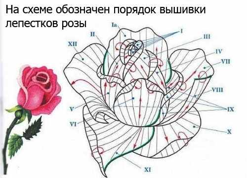 Вышивка гладью для начинающих. Схемы, рисунки: цветы розы, буквы, птицы. Объемная вышивка, техника
