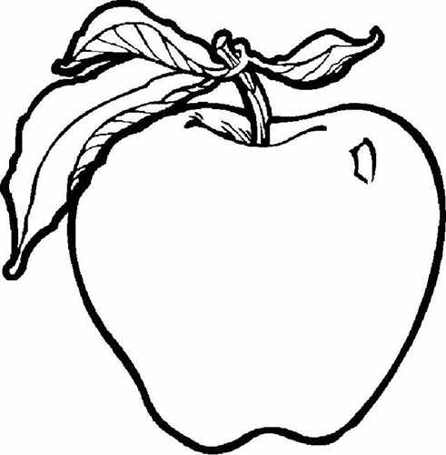 Рисунок Яблоко для детей. Как рисовать карандашом поэтапно черно-белый, цветной