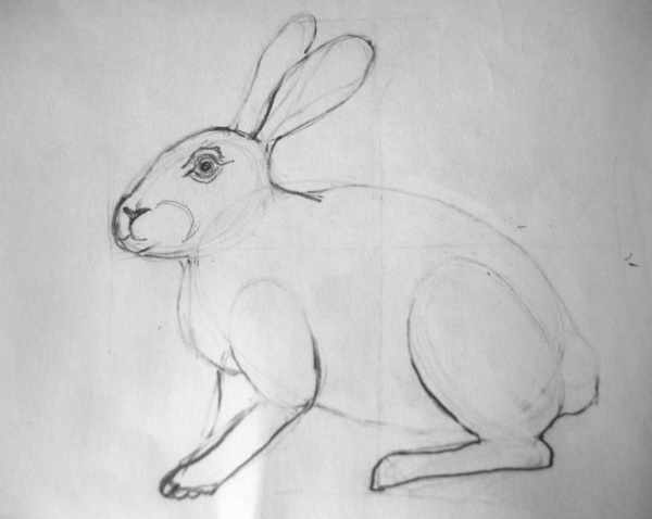 Заяц рисунок для детей карандашом простые, цветные, поэтапно для срисовки