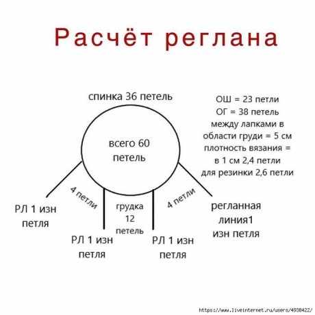 Свитер дял собачки спицами 2